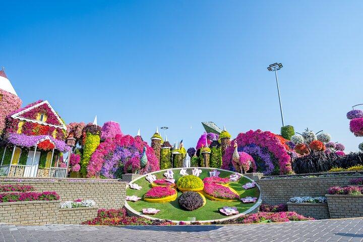 Séance photo privée au Dubai Miracle Garden