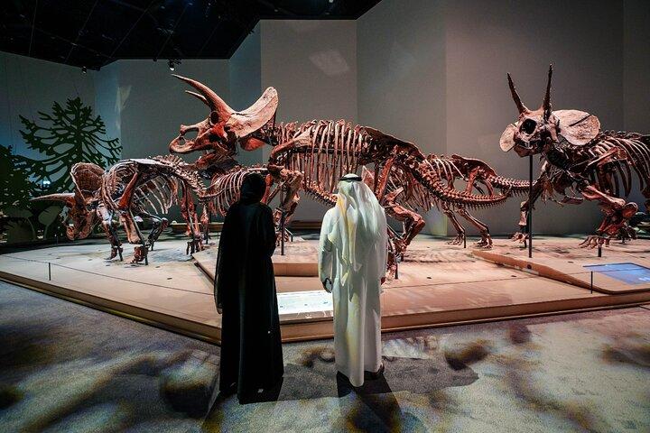 Billet d'entrée au musée national Zayed Abu Dhabi