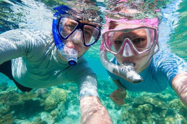 Excursion d'une journée à Musandam avec déjeuner et Guide Anglais ou Russe