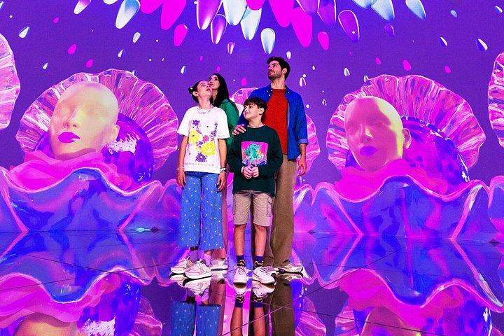 Billet House of Hype à Dubai Mall avec ramassage et retour