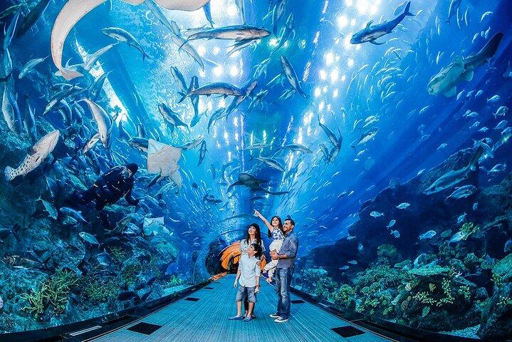 Zoo sous-marin et aquarium de Dubaï avec Penguin Cove