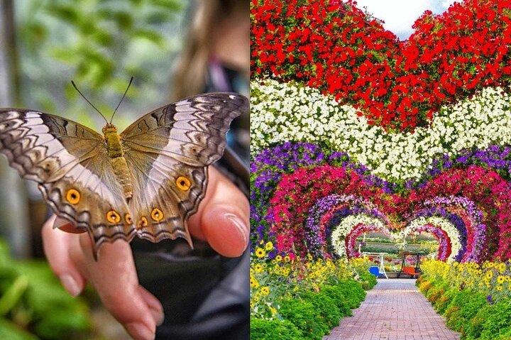 Miracle Garden Dubai Offres de billets