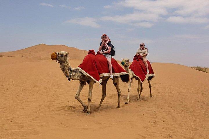 Red Dunes Lahbab Dubai Tour de chameau