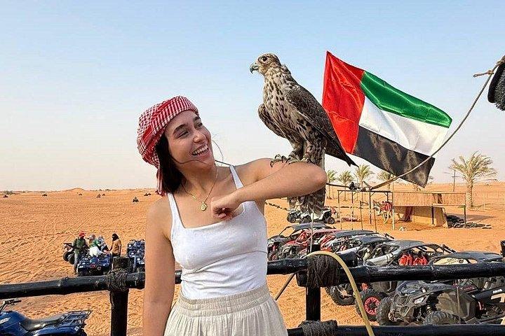 Falcon Photo Lahbab
