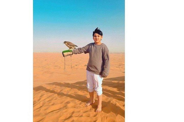 Safari de luxe 5 étoiles dans le désert Dîner à Dubaï avec spectacle et activités