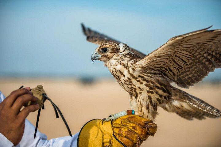 Safari privé de luxe au Sahara