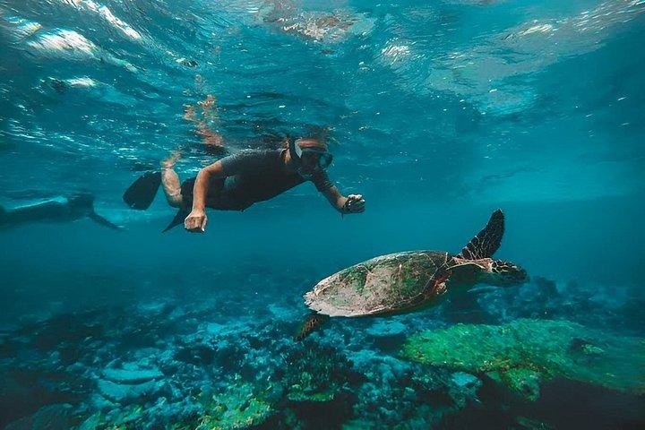 Visite de Musandam Dibba au départ de Dubaï