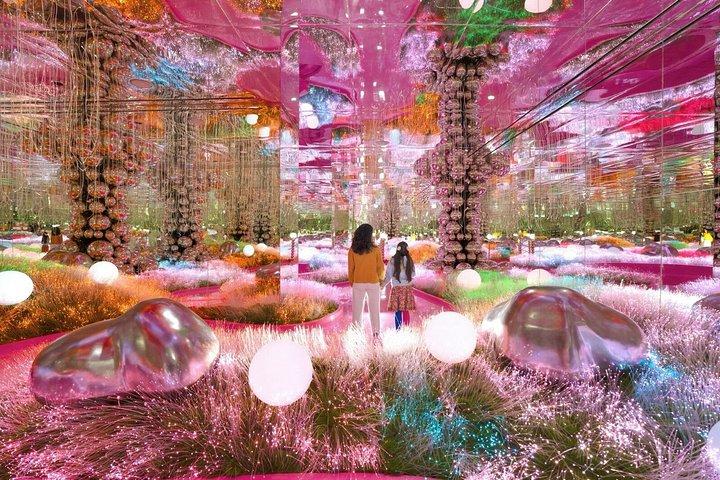 Billets House Of Hype Dubai Mall