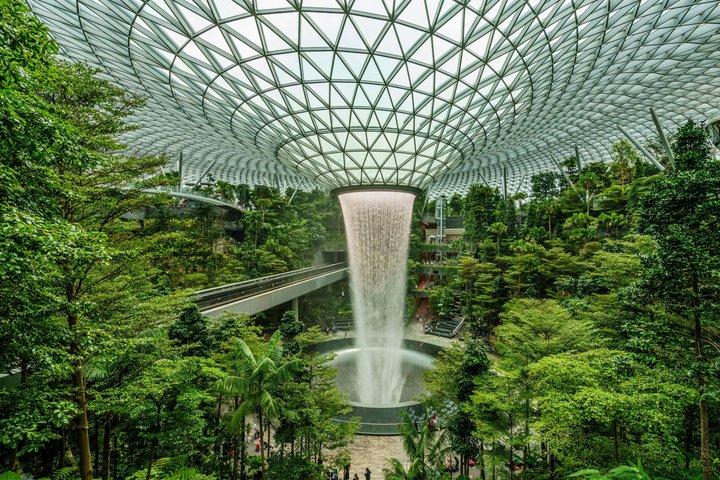 Le billet d'aventure de la forêt tropicale du Green Planet Dubaï