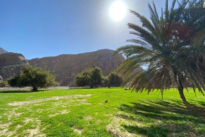Randonnée guidée d'une demi-journée dans l'oasis cachée à Ras Al Khaimah
