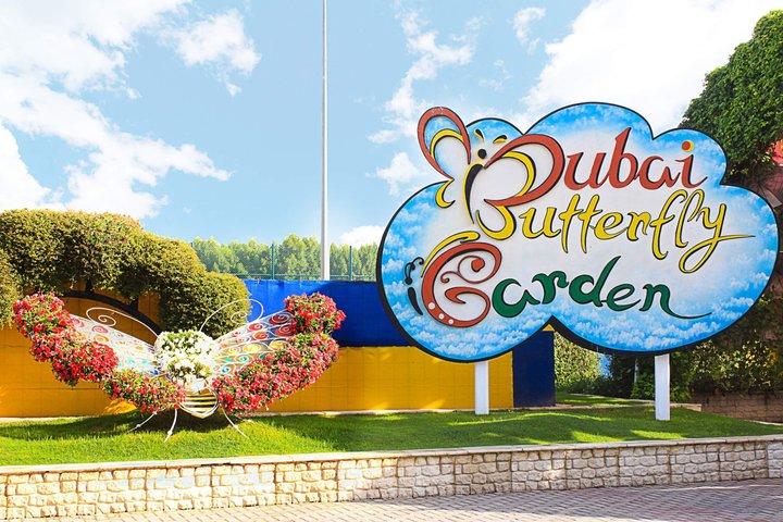 Billet d'entrée journée complète du Jardin Papillon de Dubaï