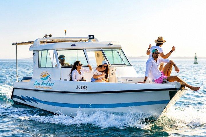 Excursion privée de saut d'îles à Abu Dhabi