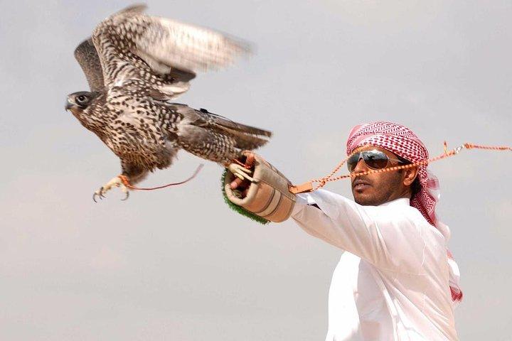 Private Desert Safari avec Private Falcon Show avec expérience de configuration au coucher du soleil