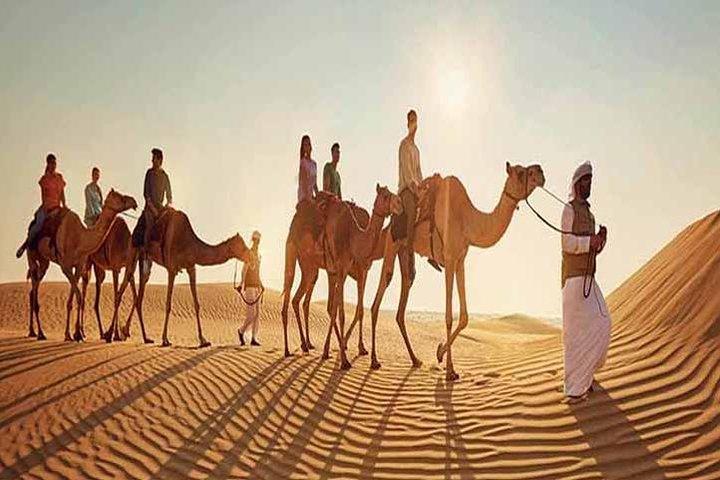 Camel Trekking à Dubaï