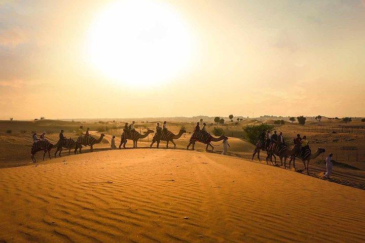 Tour de chameau au coucher du soleil de Dubaï et dîner barbecue au camp Al Khayma