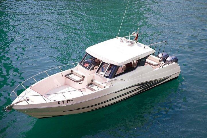 4 heures de pêche en haute mer Dubaï avec transferts