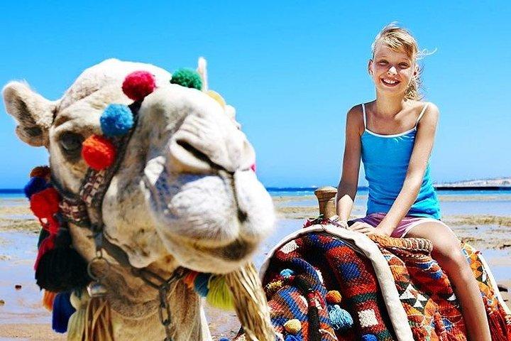 Trekking à dos de chameau à Abu Dhabi