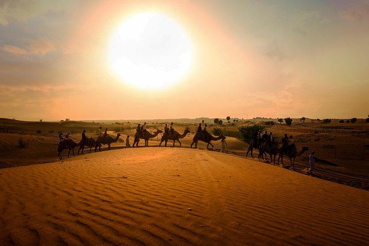 Dubai Sunset Camel Trekking avec barbecue