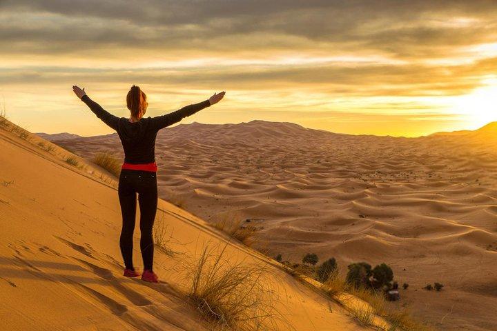 Safari matinal dans le désert avec Dune Bashing