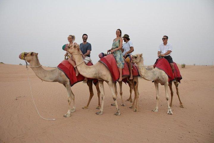Safari au lever du soleil à Dubaï dans la dune rouge avec randonnée à dos de chameau avec petit déjeuner