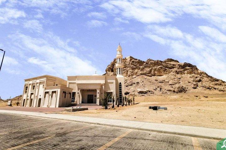 Visite privée d'Al Ain de 8 heures