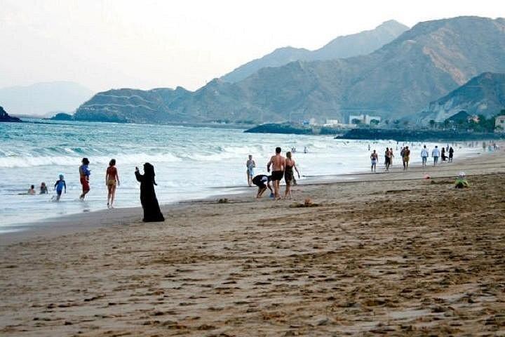 East Coast Tours - En dehors des zones urbaines (excursions sur le rivage)