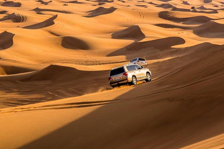 Safari du désert du matin