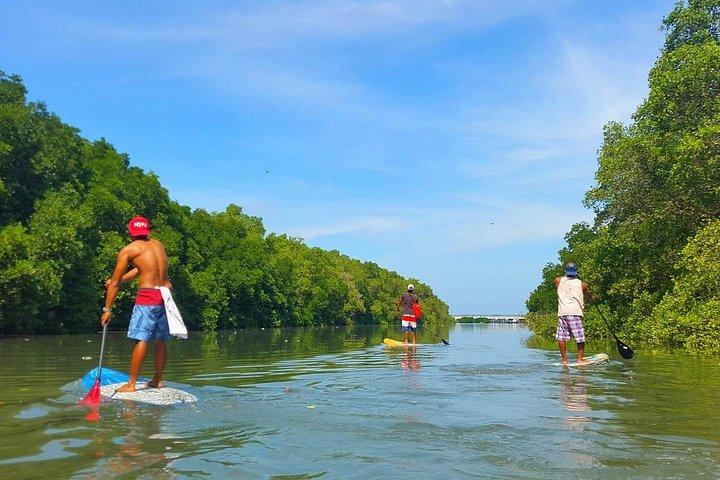 Stand up paddle avec ramassage et dépôt