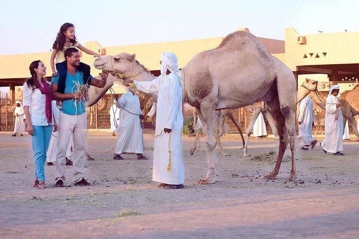 Al Ain City Tour from Dubai (visites culturelles et thématiques)