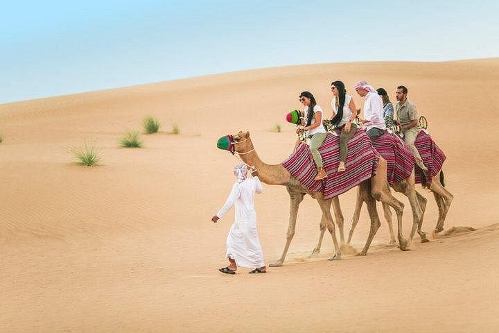 Safari en soirée dans le désert des dunes rouges avec 20 minutes de promenade à dos de chameau