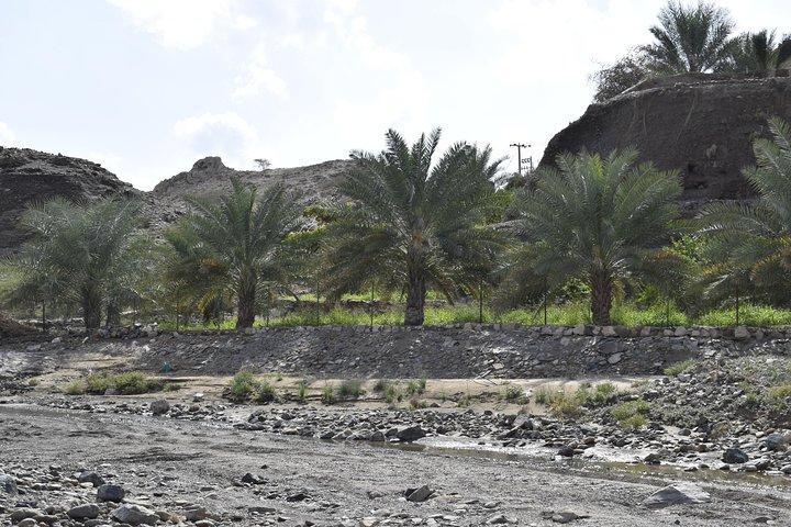 Safari en montagne à Jabel Jais - Ras al Khaimah