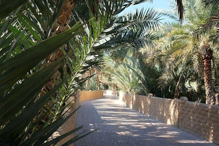 Visite culturelle semi-privée d'une journée complète à Al Ain au départ de Dubaï avec déjeuner