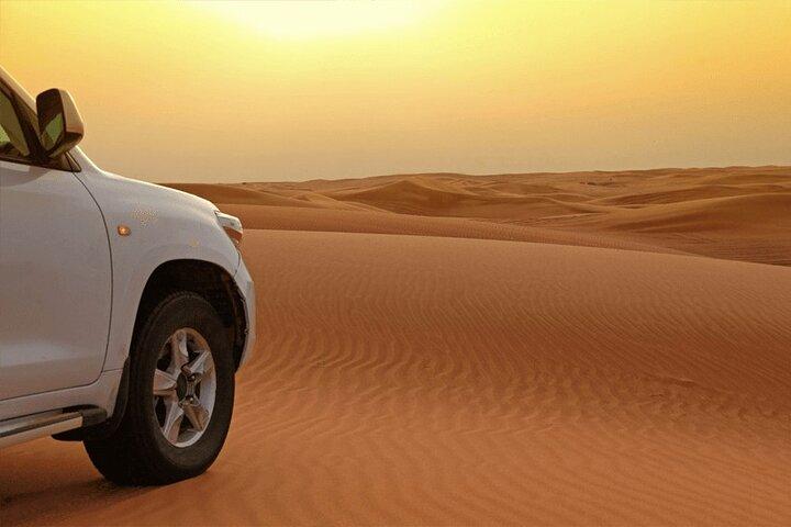Safari matinal dans les dunes rouges de Dubaï avec balade à dos de chameau