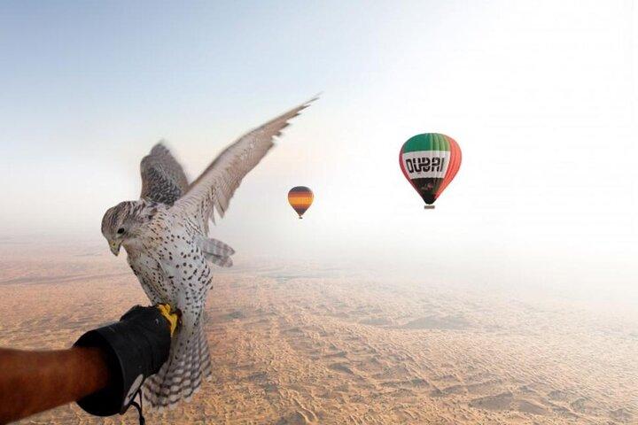Profitez de la vue sur le magnifique désert de Dubaï en montgolfière depuis Dubaï et Falcon