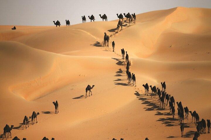 Liwa journée complète 4x4 Safari - min 2