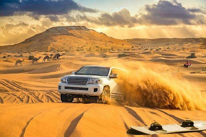 Dubai Premium Desert Safari: Dune Bashing, promenade en chameau, spectacles et barbecue