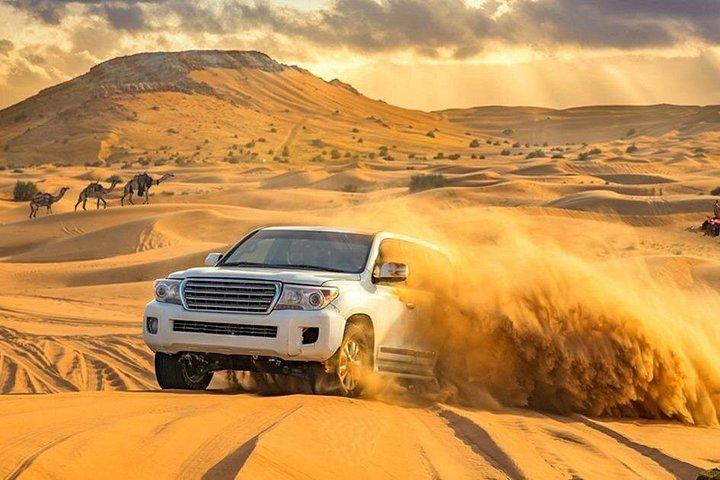 Morning Desert Safari Dubai: Dune Bashing, Sand Boarding, Balade à dos de chameau