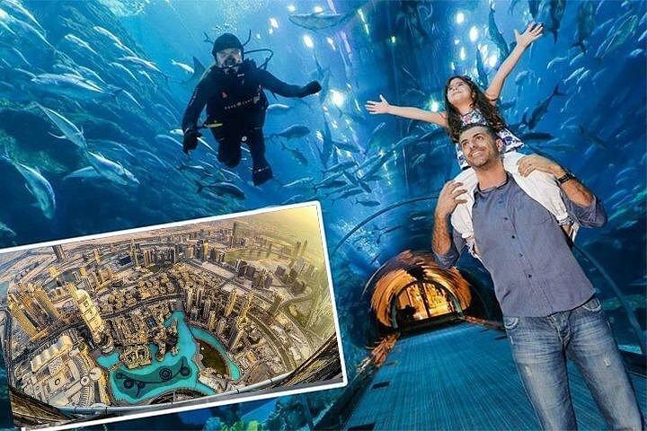 Visite du zoo sous-marin Burj Khalifa et de l'aquarium de Dubaï