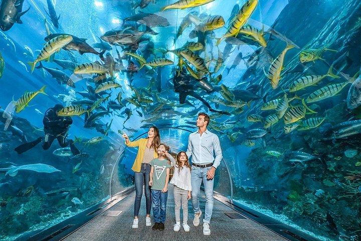 Safari dans le désert en soirée avec dîner buffet et billets pour l'aquarium de Dubaï