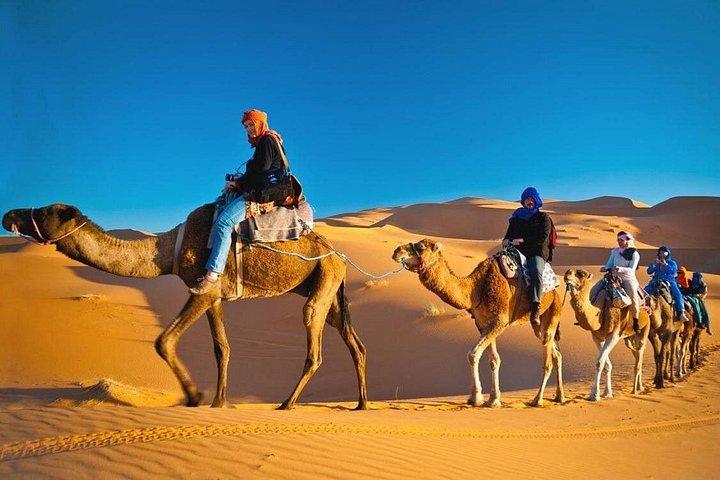 Safari privé dans le désert le matin à Dubaï