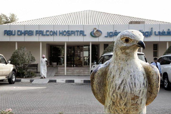 Voyage privé à la mosquée d'Abu Dhabi et à l'hôpital Falcon