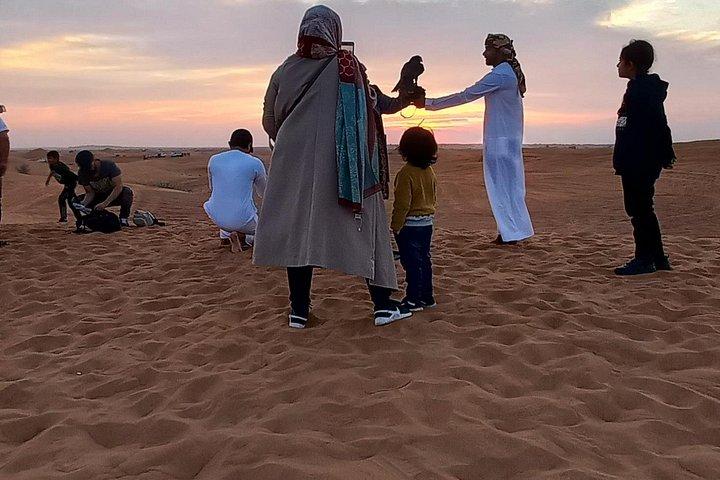 Safari privé dans le désert à Dubaï avec prise en charge en 4x4