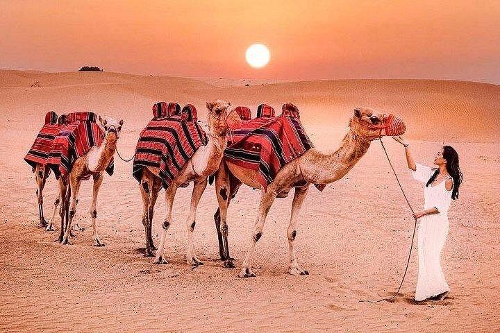 Safari du désert des dunes rouges du matin avec ramassage et dépose