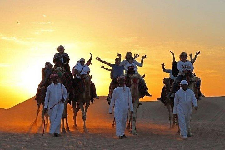 Safari tôt le matin dans le désert de Lehbab