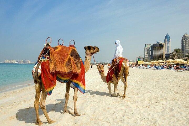 Dubaï : visite privée à pied avec un guide (visite privée)