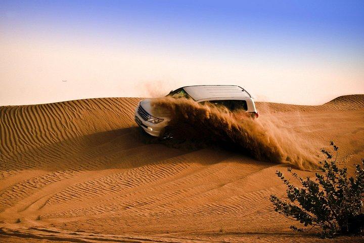 Excursion de 6 heures dans le désert Safari Dubai