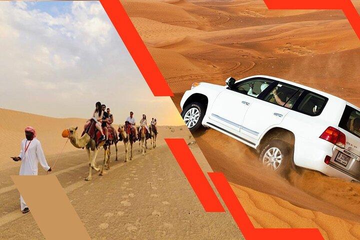 Safari matinal dans le désert d'Al Awir avec balade à dos de chameau