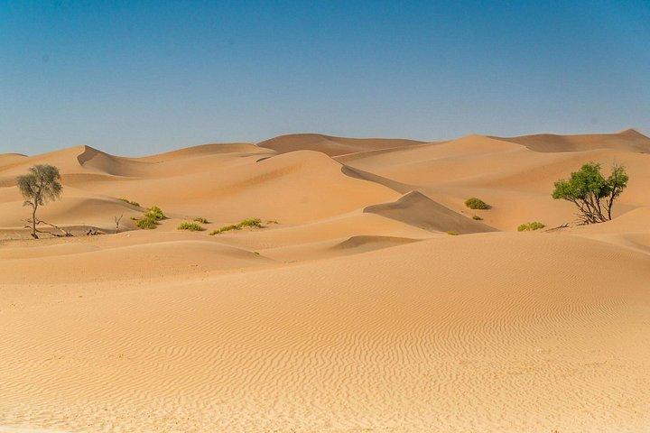 Aventure safari matinale dans le désert à Abu Dhabi