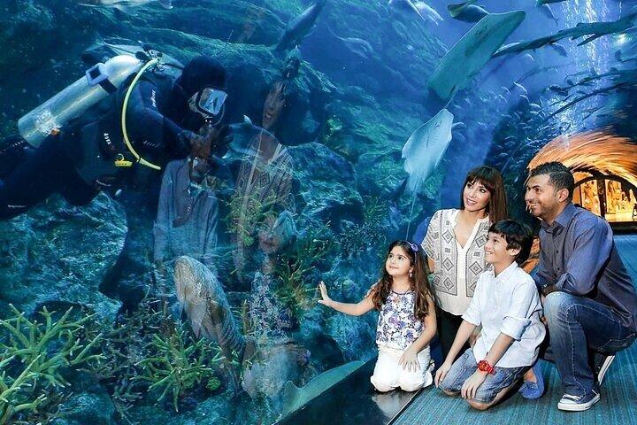 Billets pour l'aquarium et le zoo sous-marin de Dubai Mall avec transferts