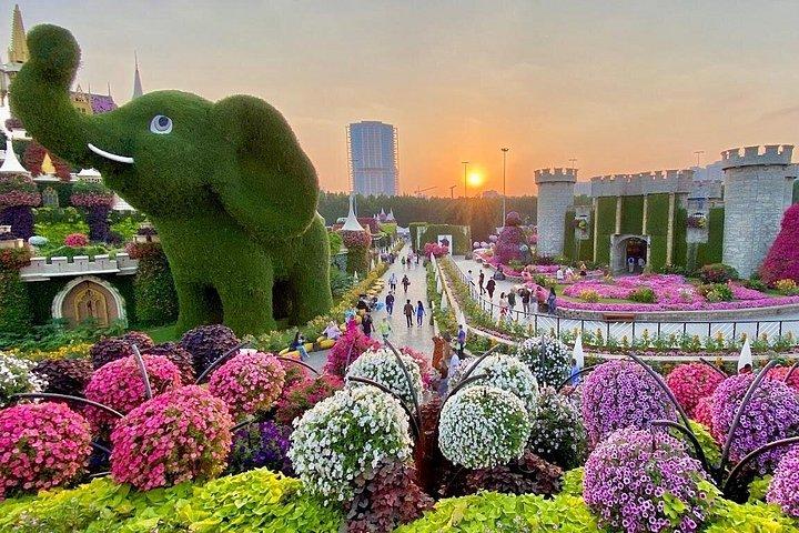 Dubaï Miracle Garden Billets avec transferts privés